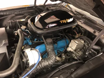 Trans Am